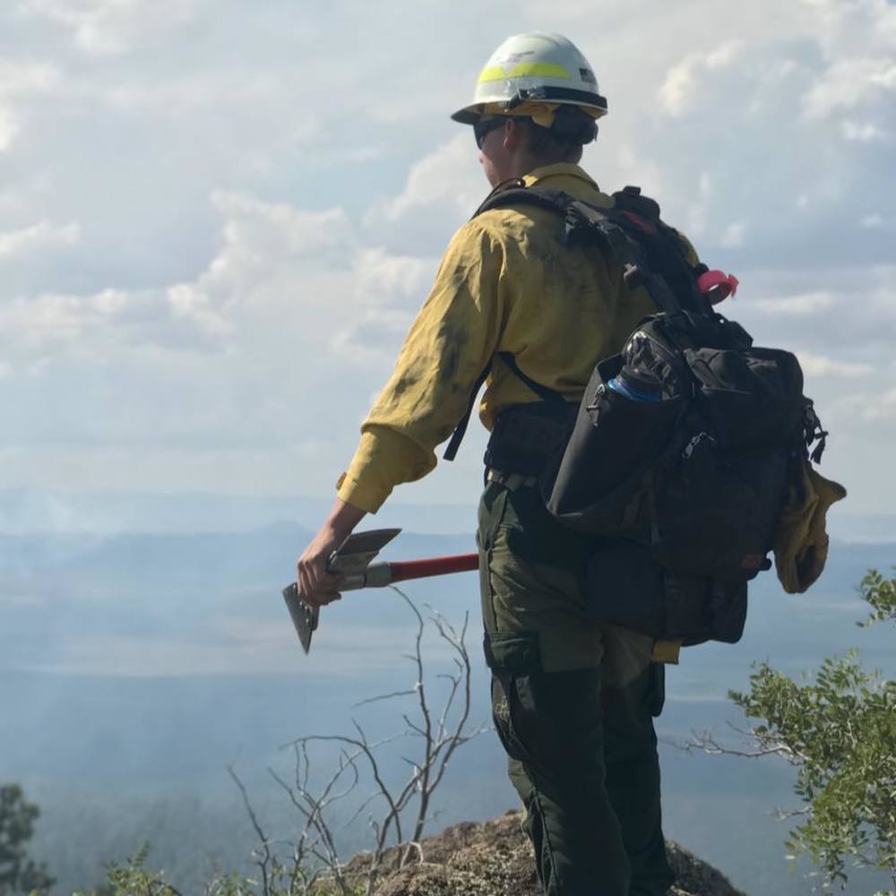 Meet your Posher, Dillon